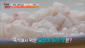 명성 그대로의 맛! 붕장어 회!