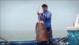 여름 바다 못난이 보양식을 찾아라!_코리아헌터 4회 예고