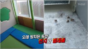 [CSI]위생불량 키즈카페…벌레까지 기어다녀