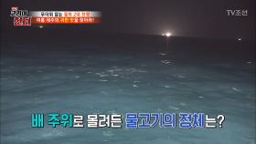 야밤에 몰려드는 고기들! 그 정체는?