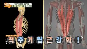 통증 잡고! 백세 허리 만드는 특.급.비.법!