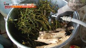 약초로 진~한 국물을 낸다?! 산을 품은 진국!