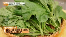 ‘아욱’이 소장에 좋은 이유는?