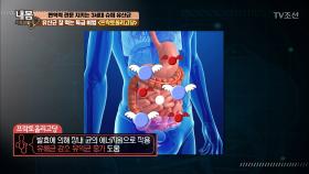 유산균 잘 먹는 특급 비법!