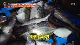 각종 물고기 속 독보적인 존재감! 대물 ‘대구’