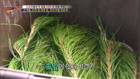 연 매출 20억, 대게 대박집의 영업비밀 공개!!