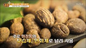 먹으면 좋은 지방! 내장지방 잡는 ‘시어버터’