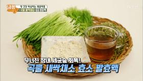 ‘곡물 새싹채소 효소 발효액’ 만드는 법