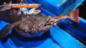 그물을 올렸더니 잡히면 안 되는 ‘그것’이!!