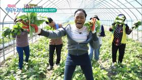 흑간지 스웩~ 흑인 누나의 ‘곤드레 만드레’