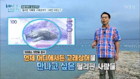 필리핀 지폐에 고래상어가 그려진 이유는?