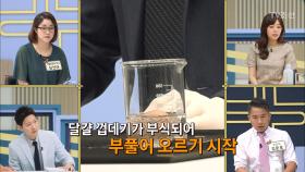 충격실험! 몸속의 독극물! ‘위산’의 실체