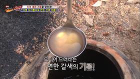 1리터에 30만원?! 꾸지뽕으로 만든 신의 기름!