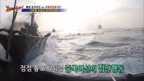 아찔한 현장! 전쟁 같은 중국어선 추격전!