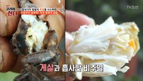 캄보디아의 인기 간식, 왕거미 구이?!