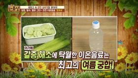 여름철 탈수증상을 오이와 이온음료로 한방에!