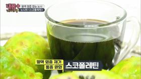 염증 제거에 통증 완화까지! 혈액 염증 청소부 ‘노니’