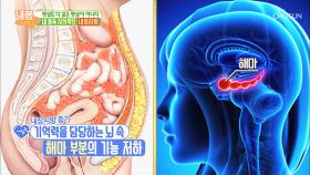 내 몸속 시한폭탄 ‘내장지방’ 심하면 치매까지?