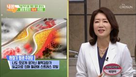 봄철 환절기! 혈관 건강 신경 써야 하는 이유?