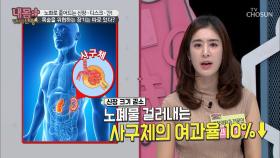 몸 속 장기 노화로 인한 통증? ‘장기 크기 감소’ 때문