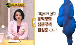 우리 몸 속 세균 80%는 ‘장’에 살고 있다