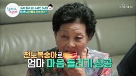 찌까했데이(?)쓰다? 신박한 천도 복숭아 맛 표현