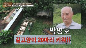 [선공개] 박병호 길고양이 20마리 키워!!