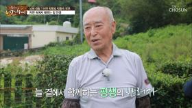 박병호 남해 공식 ‘길고양이 아빠’ 된 사연