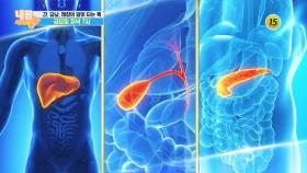 간, 담낭, 췌장의 암이 되는 혹_내 몸 사용설명서 277회 예고