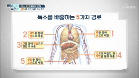 음식물 섭취배변 까지 ‘24시간’안에 해결?!