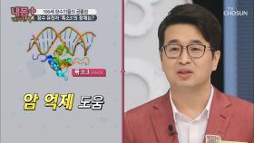 «백세인생» 실현하려면? 장수 유전자 폭소3