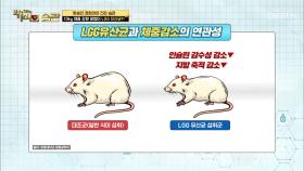 면역력에 도움 되는 LGG 유산균 장점