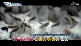 근육 탄탄↑ 체내 흡수율이 좋은 《산양유 단백질》