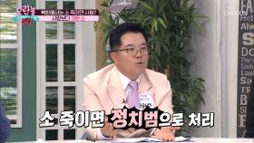 북한의 소는 「○○○○」 가 존재한다!! | TV CHOSUN 20200906 방송