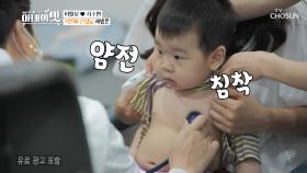 아맛 공식 순둥이 ʚ담호ɞ 첫 주사 반응은?!| TV CHOSUN 20200901 방송