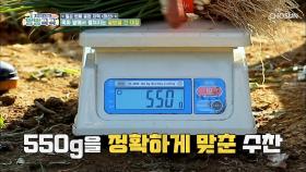 기권 속출ㅋㅋ ‘쪽파 550g’ 맞추기 대회| TV CHOSUN 20201129 방송