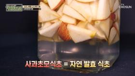 탄수화물 당 흡수 억제하는 ‘사과초모식초’ #광고포함| TV CHOSUN 20201102 방송