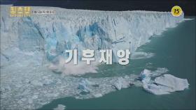 과학 기술도 막을 수 없는 기후재앙_킹스맨 2회 예고 | TV CHOSUN 20201105 방송