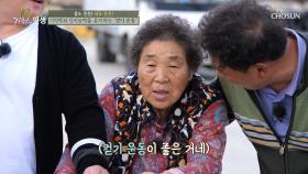 「걷기 운동」 기억력과 인지능력 유지에 도움 #광고포함| TV CHOSUN 20201107 방송