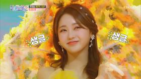 살랑살랑 ‘꽃바람’♬ 타고 홍지윤이 피었습니다❀✿ TV CHOSUN 210211 방송