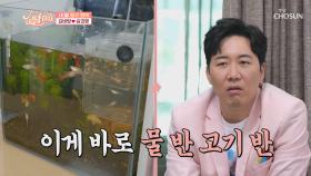 ⧙바글바글⧘ 물고기는 총 몇 마리?! ft. 제작진의 노고💦 TV CHOSUN 210402 방송