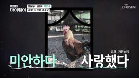 살짝 섬뜩(?)😱 잡아먹기 전에 ‘닭 영정사진’ 남기는 이계인🐔 TV CHOSUN 20210426 방송