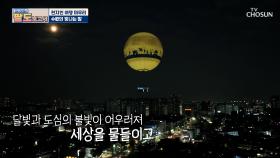 야경에 취한다..🌛 열기구 타고 즐기는 수원의 밤 TV CHOSUN 20210508 방송