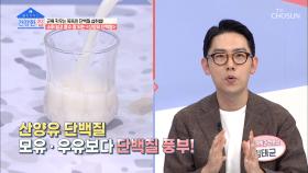 ▶산양유 단백질◀ 모유·우유보다 단백질↑ 소화 흡수율↑ TV CHOSUN 20210531 방송