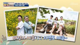 인생샷 가능~✧ 꽃내음 가득한 ‘지세포 라벤더 공원’ TV CHOSUN 20210620 방송