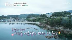 경치 최고😍 고모와 조카의 케이블카 데이트★ TV CHOSUN 20210620 방송