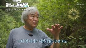 백건우 휴식처 숲🌳 손끝에서 새겨지는 자연 교향곡 TV CHOSUN 20210905 방송