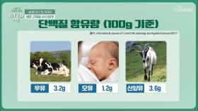 우유보다 단백질 함량 더 높은 『산양유 단백질』 TV CHOSUN 20210911 방송