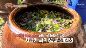 1년 숙성↗ 인위적으로 만들지 않는 『천연 발효 식초』 TV CHOSUN 211025 방송