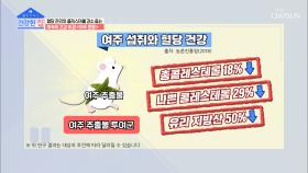 공복혈당·식후 혈당 개선 돕는 ❛여주 분말❜ TV CHOSUN 20211025 방송